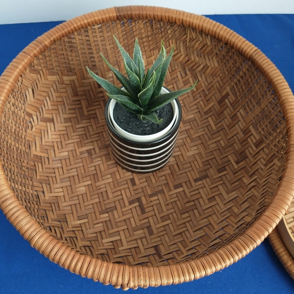 Woven Lidded Basket 10"d x 4"h - Picture 8 of 10